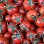 Patatesin atası domates çıktı! – Teknoloji Haberleri