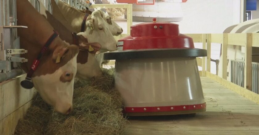 'Yeni nesil çiftlikler robotlarla donatılacak'