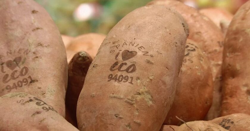 Lazerli etiketler soframıza geliyor | Euronews