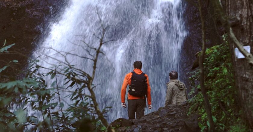 Gürcistan’ın doğasıyla büyüleyen Mtirala Ulusal Parkı