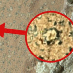 Mars’taki yaşam izleri ne anlama geliyor? Astrobiyolog açıklıyor