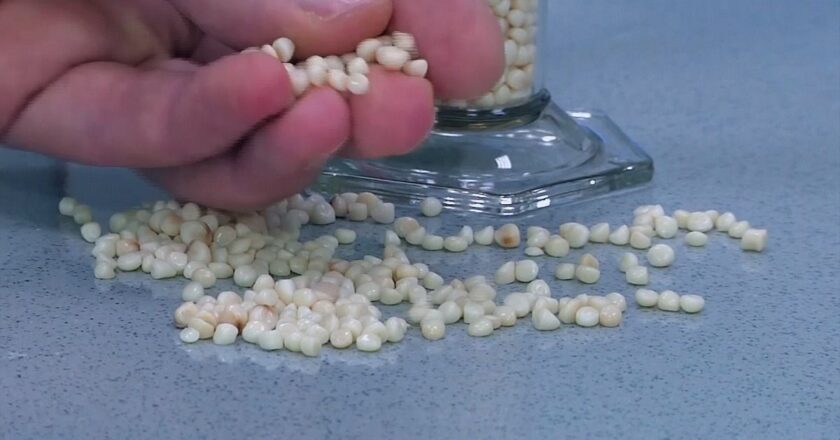 Novamont, dünyanın ilk çevreci plastik üretim tesisini açtı