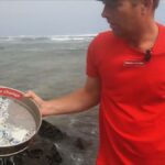 2050’de denizlerde balıktan çok plastik olacak