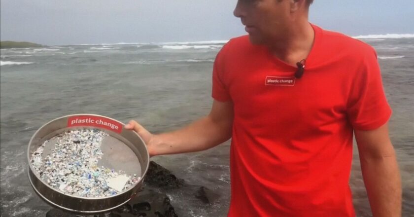 2050’de denizlerde balıktan çok plastik olacak