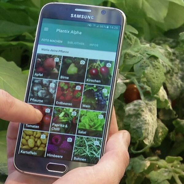 ‘Plantix’ ile her çiftçi ziraat mühendisi gibi çalışacak