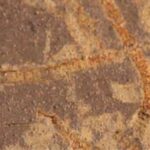 3,3 milyar yıllık taşlarda eski yaşam kanıtları keşfedildi