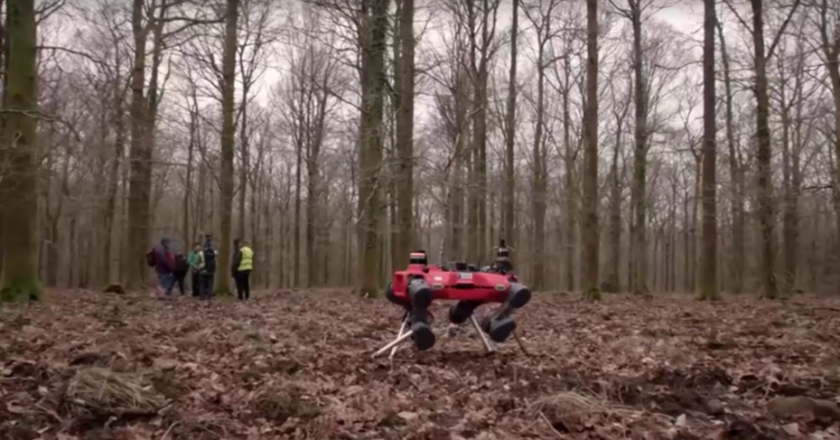 Ormanlarda robot köpek devri: Gerisini kurtlar halletsin!